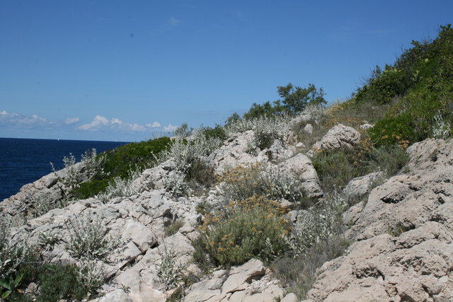 gal/cro 08/small-IMG_5209.JPG